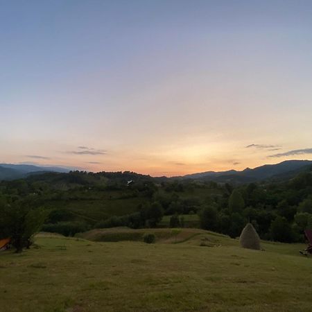 Cabana Cu Teren De Tenis -- Parter Banita Exteriér fotografie