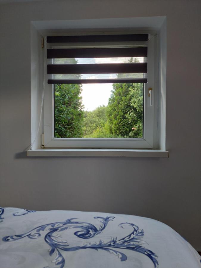 Cabana Cu Teren De Tenis -- Parter Banita Exteriér fotografie