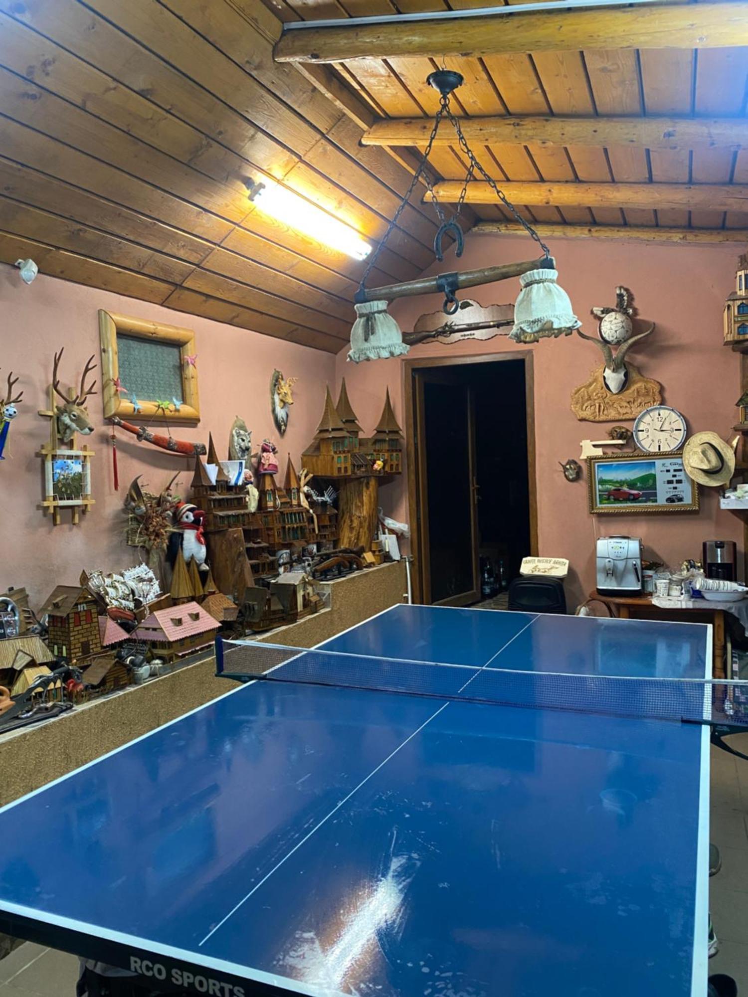 Cabana Cu Teren De Tenis -- Parter Banita Exteriér fotografie