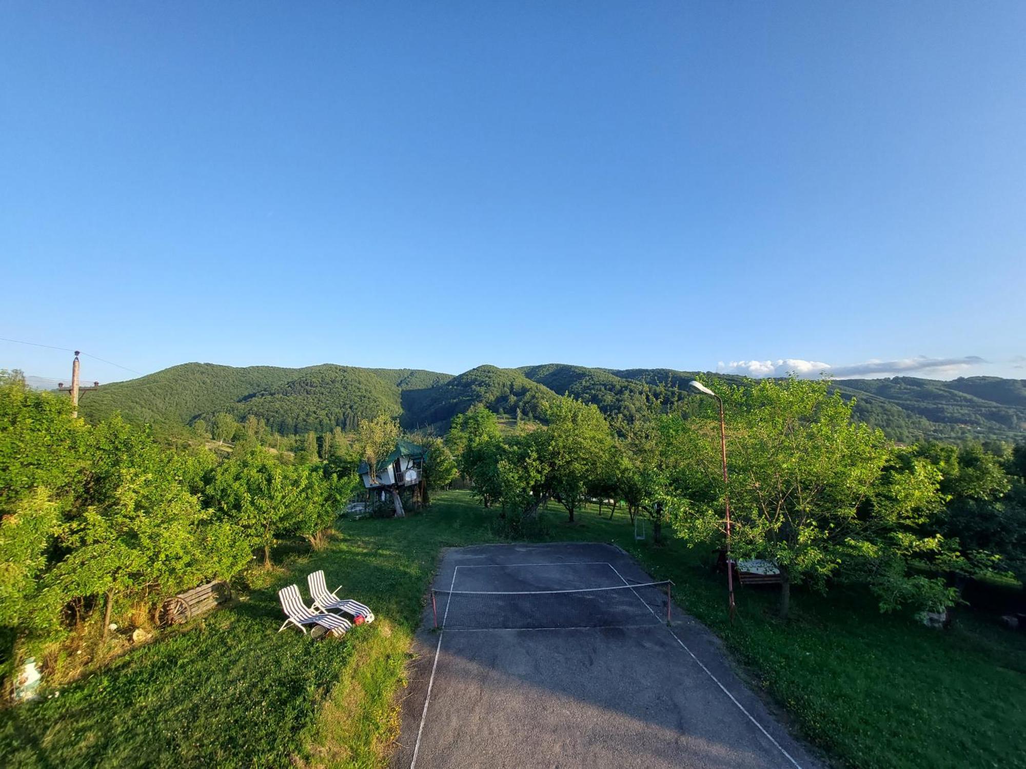 Cabana Cu Teren De Tenis -- Parter Banita Exteriér fotografie