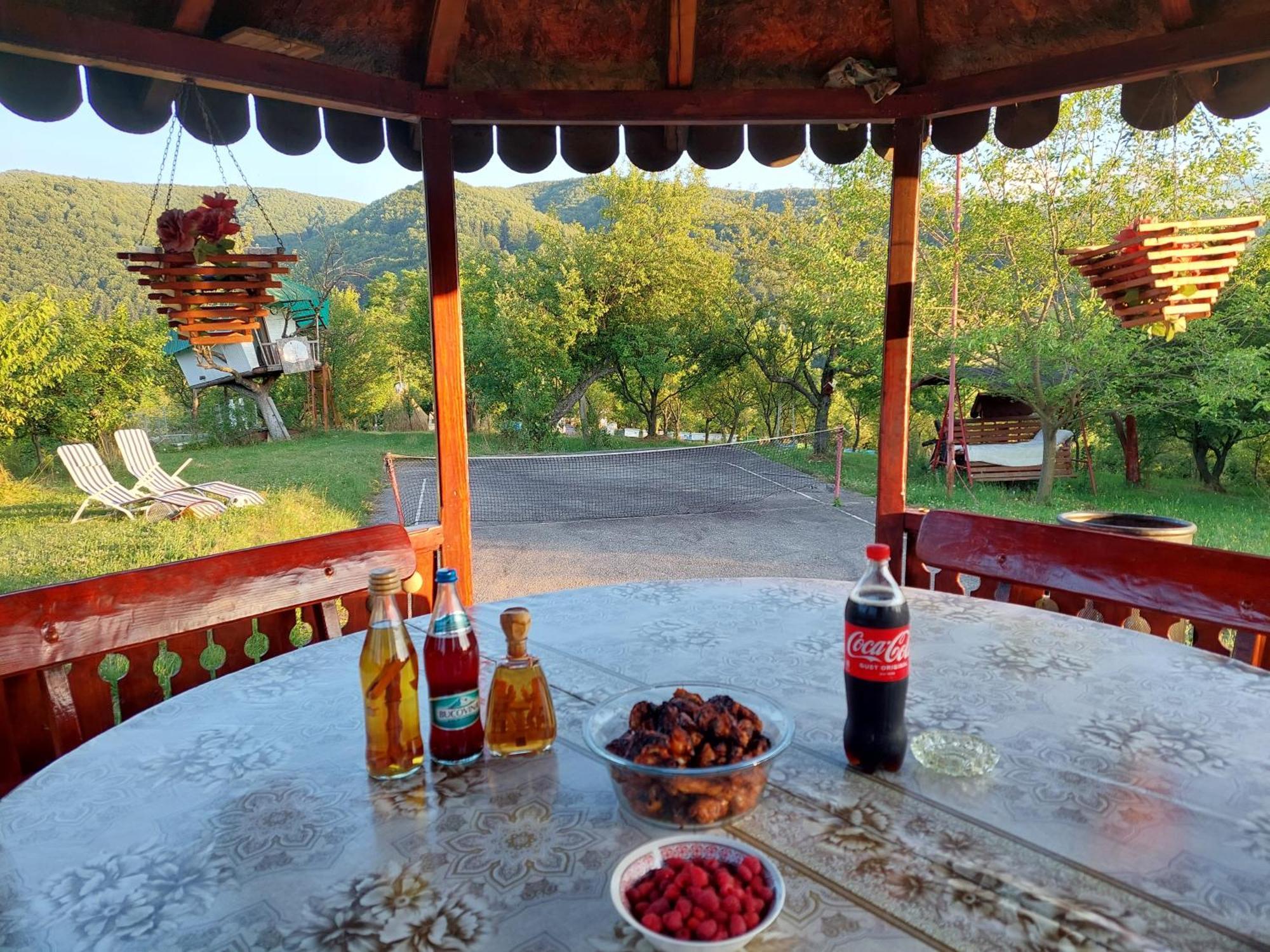 Cabana Cu Teren De Tenis -- Parter Banita Exteriér fotografie